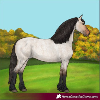 Horse Color:Bay Roan Dun 
