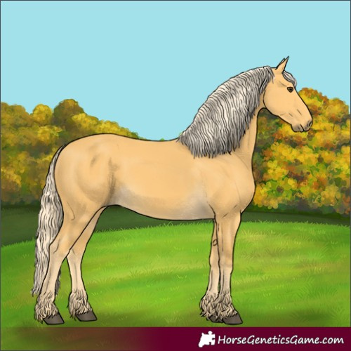 Horse Color:Palomino 