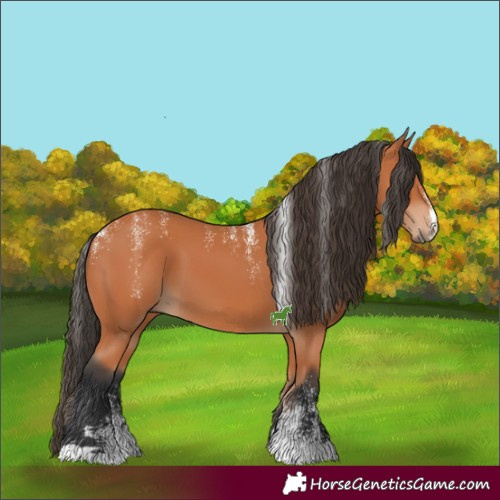 Horse Color:Powder White Bay