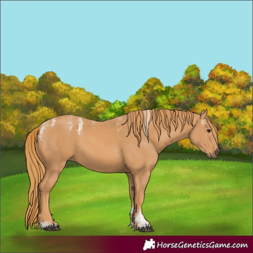 Horse Color:Powder White Chestnut