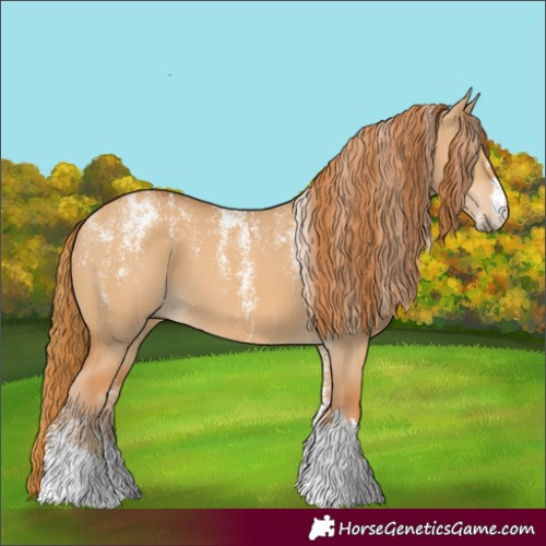 Horse Color:Powder White Red Dun