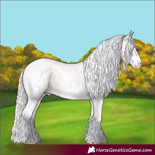 Horse Color:Silver Amber Champagne Roan Dun Splash Tobiano Frame Appaloosa Rabicano 