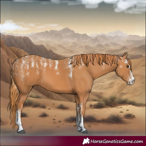 Horse Color:Powder White Chestnut 