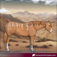 Horse Color:Powder White Chestnut