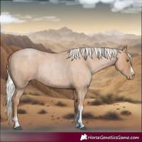 Horse Color:Silver Blue Roan Pearl Tobiano Frame 