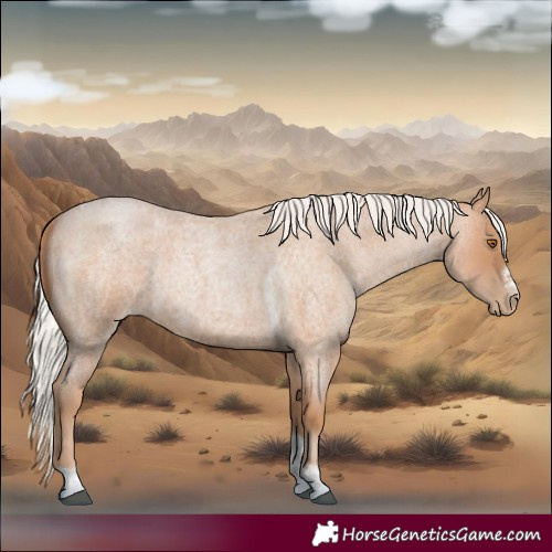 Horse Color:Silver Blue Roan Pearl Tobiano Frame