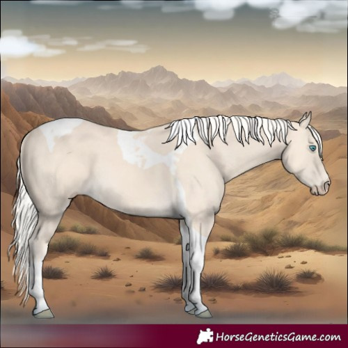 Horse Color:Cremello Tobiano 
