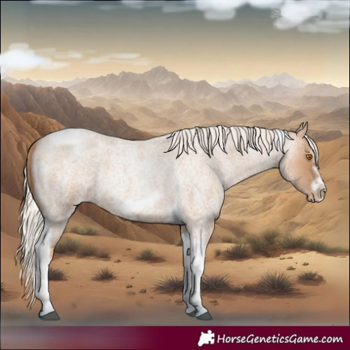 Horse Color:Silver Blue Roan Pearl Tobiano Frame