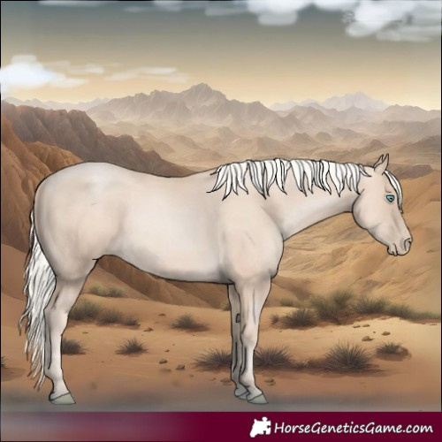 Horse Color:Gold Cream Champagne Pearl