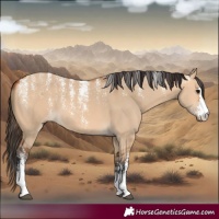 Horse Color:Powder White Bay Dun 