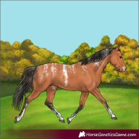 Horse Color:Powder White Bay 