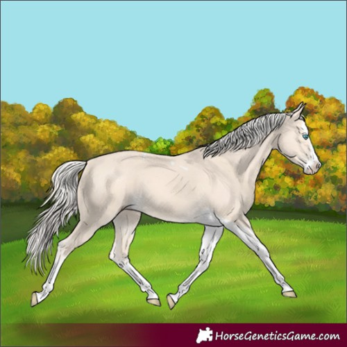 Horse Color:Cremello Splash Tobiano