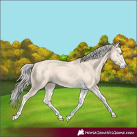 Horse Color:Cremello Splash Tobiano