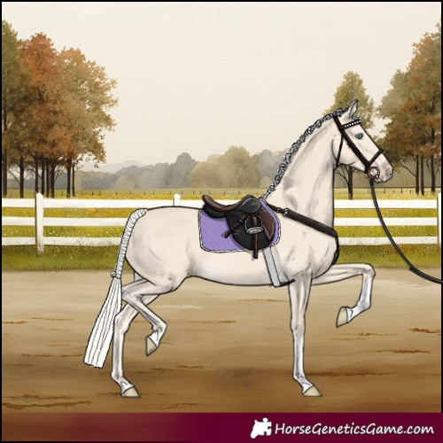 Horse Color:Cremello Tobiano 