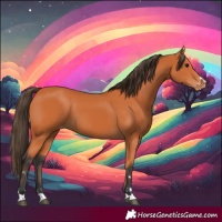 Horse Color:Bay Varnish 