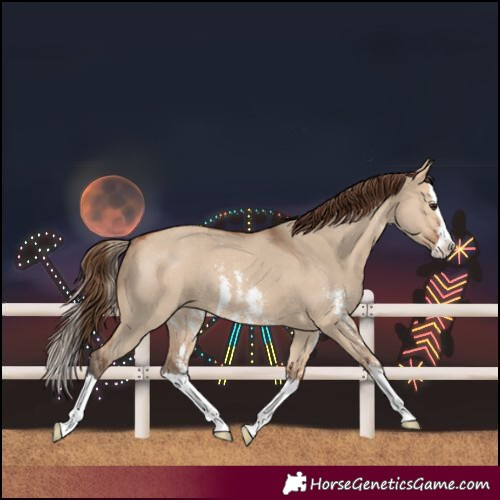 Horse Color:Bay Dun Sabino Splash Varnish Rabicano 