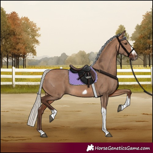 Horse Color:Silver Brown Dun Tobiano Frame 