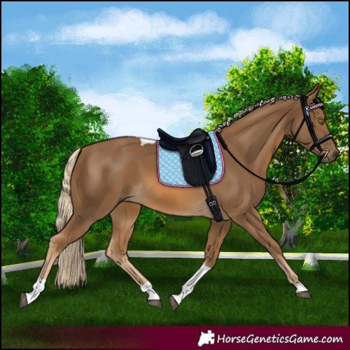 Horse Color:Chocolate Palomino Tobiano
