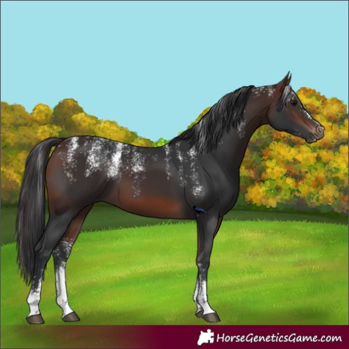 Horse Color:Powder White Brown