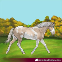 Horse Color:Chocolate Palomino Pearl Tobiano Frame  and Chocolate Palomino Pearl Tobiano Frame 
