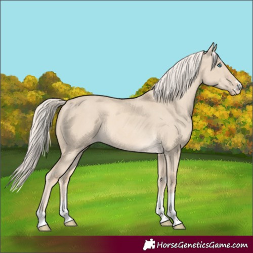 Horse Color:Cremello Dun 