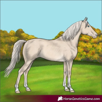 Horse Color:Cremello Dun 
