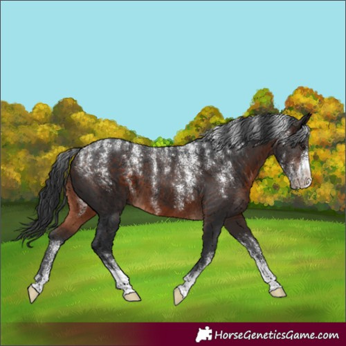 Horse Color:Powder White Brown