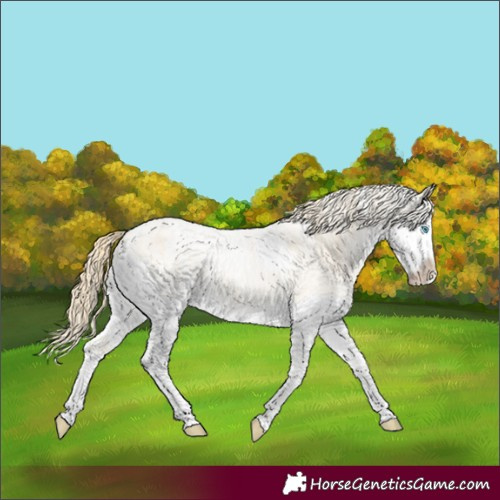 Horse Color:Powder White Bay Roan Snowdrop Pearl Splash