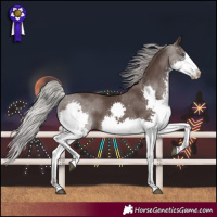 Horse Color:Silver Black Splash Rabicano