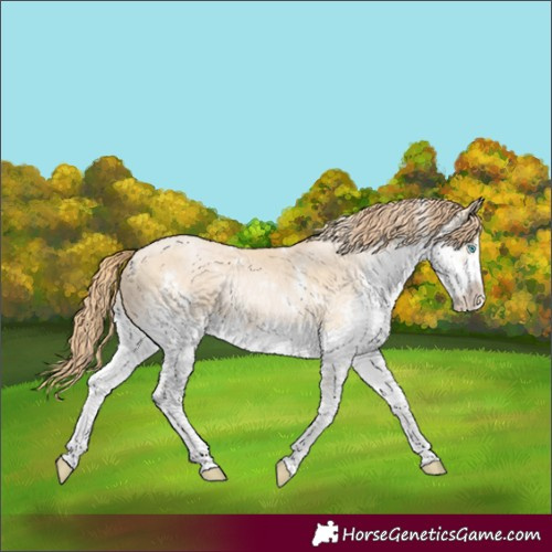 Horse Color:White Spotted Buckskin Snowdrop Splash Frame 