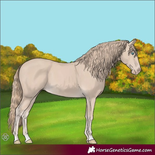 Horse Color:Smoky Creme 