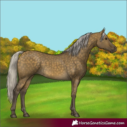 Horse Color:Silver Buckskin Dun 