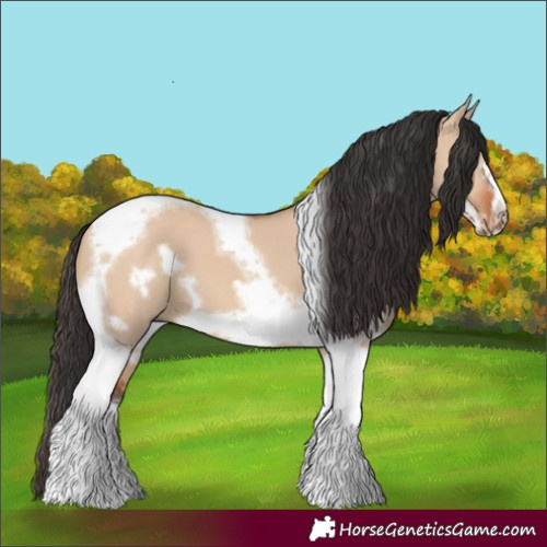 Horse Color:Bay Dun Tobiano Frame