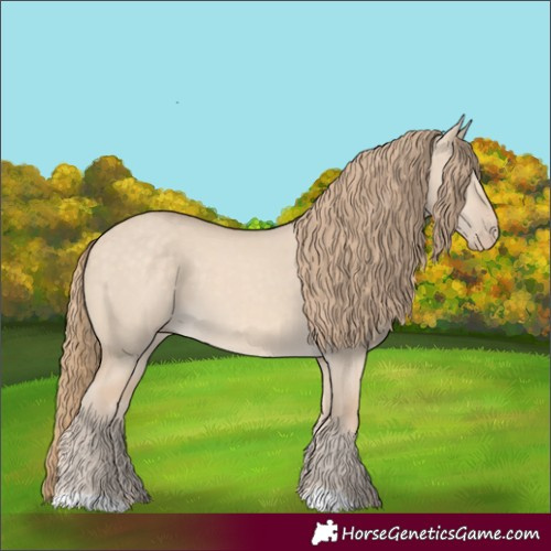 Horse Color:Perlino Dun