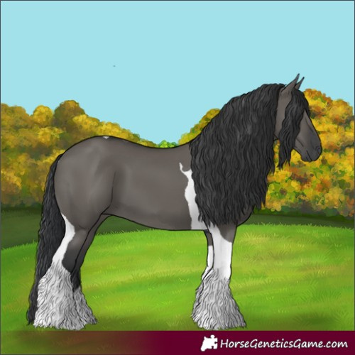 Horse Color:Grullo Tobiano