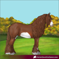 Horse Color:Chestnut Frame