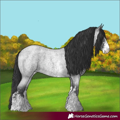 Horse Color:Blue Roan Sabino