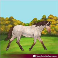 Horse Color:Chocolate Bay Roan Dun