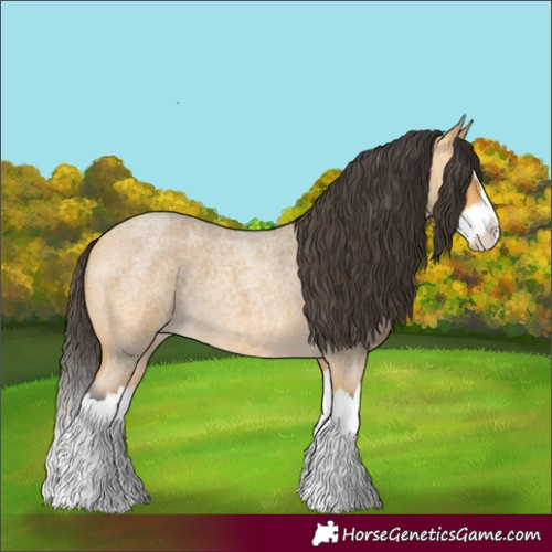 Horse Color:Buckskin Roan Splash 