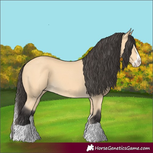 Horse Color:Buckskin Splash