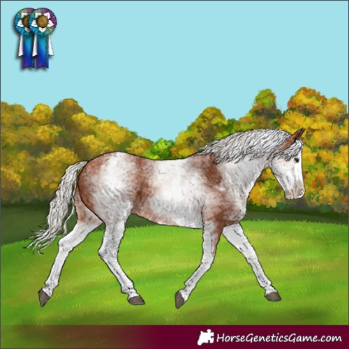 Horse Color:White Spotted Silver Bay Splash
