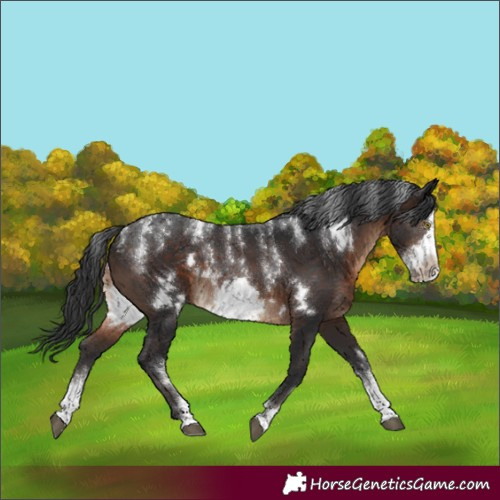 Horse Color:Powder White Brown Frame 