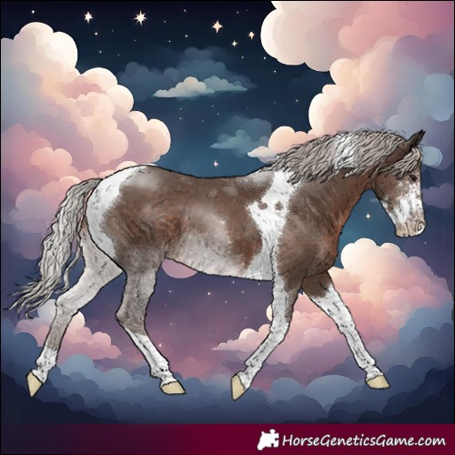 Horse Color:Silver Black Sabino Tobiano 