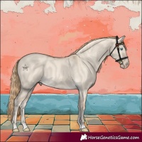 Horse Color:Perlino Dun
