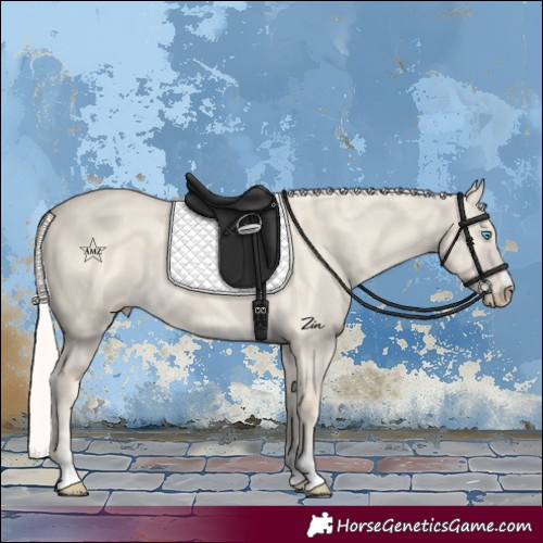 Horse Color:Cremello Dun