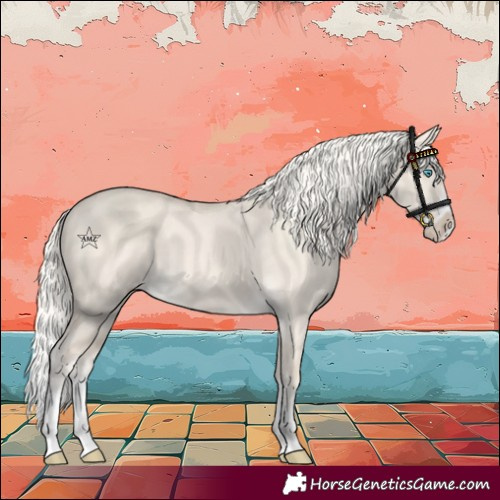 Horse Color:Cremello Dun Splash