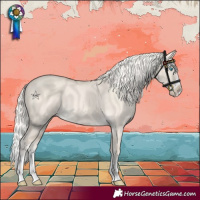 Horse Color:Cremello Dun Splash 