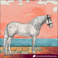 Horse Color:Cremello Dun Splash 