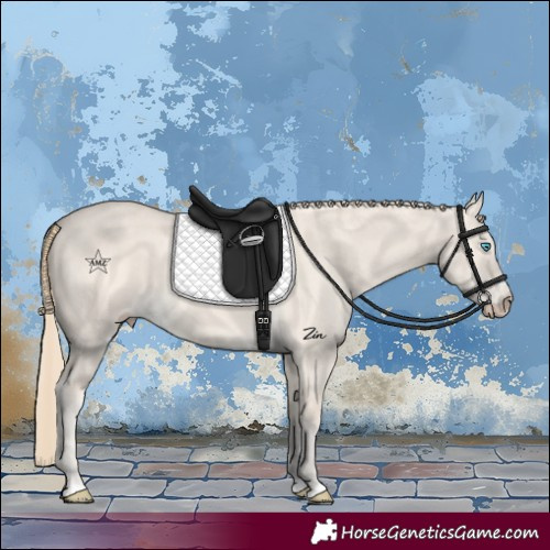 Horse Color:Perlino Dun