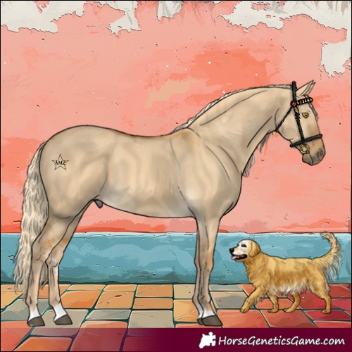 Horse Color:Palomino Dun